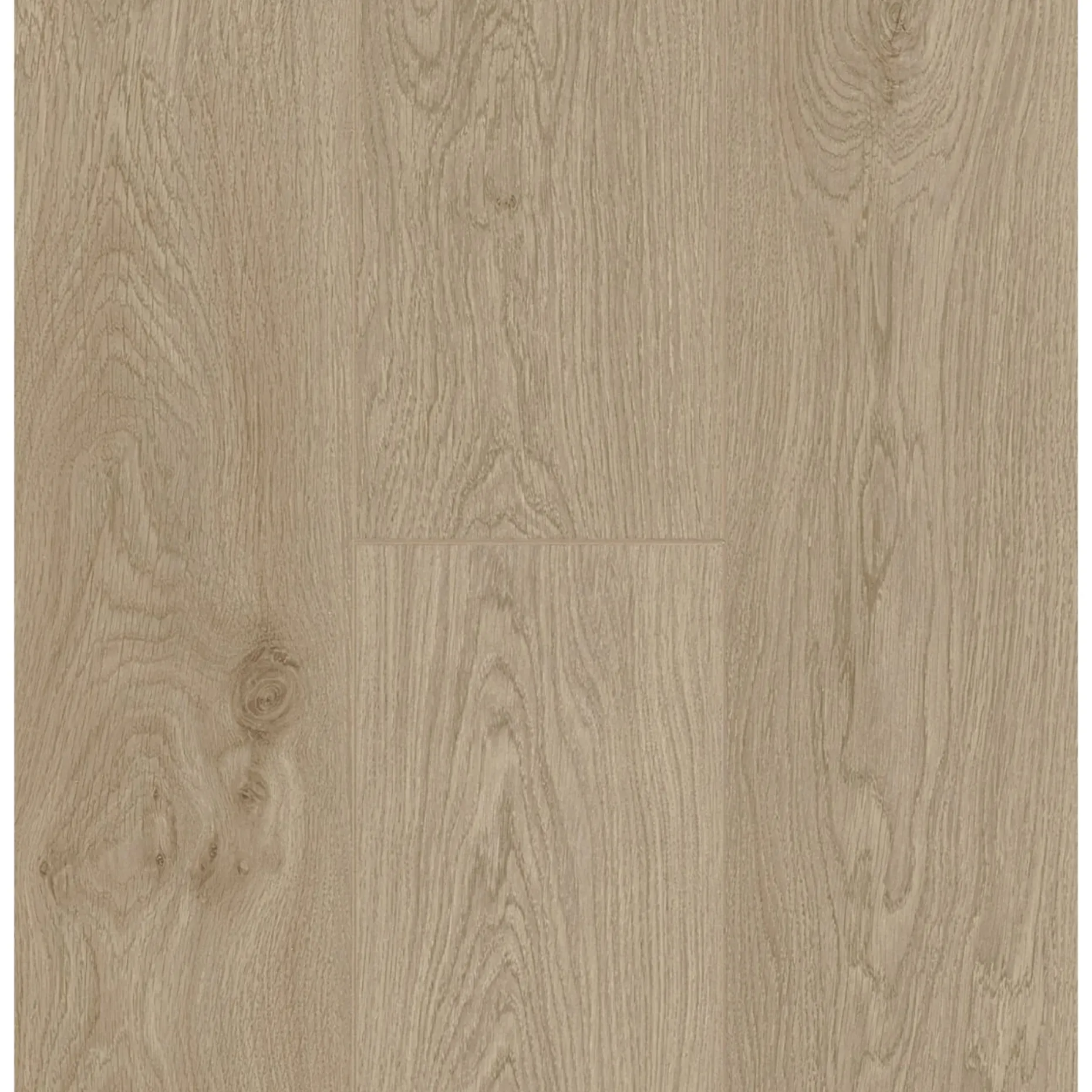 BERRYALLOC TRENDLINE LAMINATGULV LILY OAK