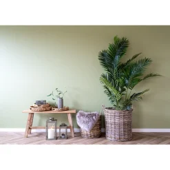 BOLIGINTERIØR ARECA PALME KUNSTIG PLANTE 175 CM|Boliginteriør Discount