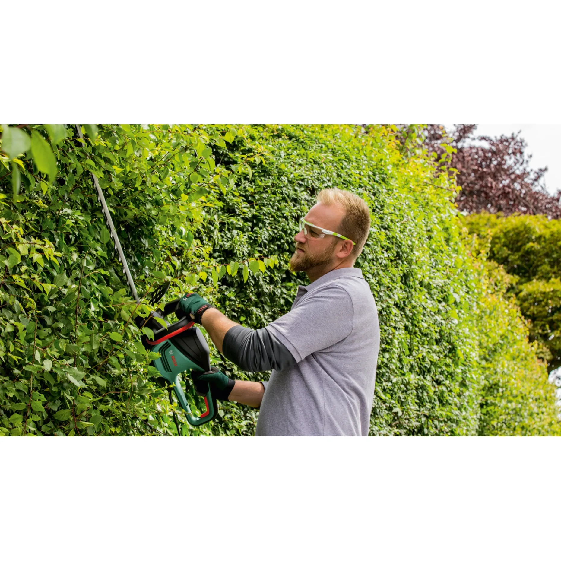 BOSCH ADVANCED 36V-65 SOLO HÆKKEKLIPPER 65,0 CM UDEN BATTERI OG LADER