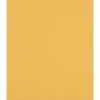 EXPERT C470 SLIBEARK 100 1 STK|Bosch