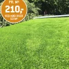 KUNSTGRÆS 37 MM|Citylawn