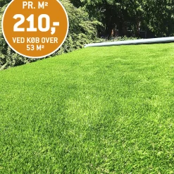 KUNSTGRÆS 37 MM|Citylawn