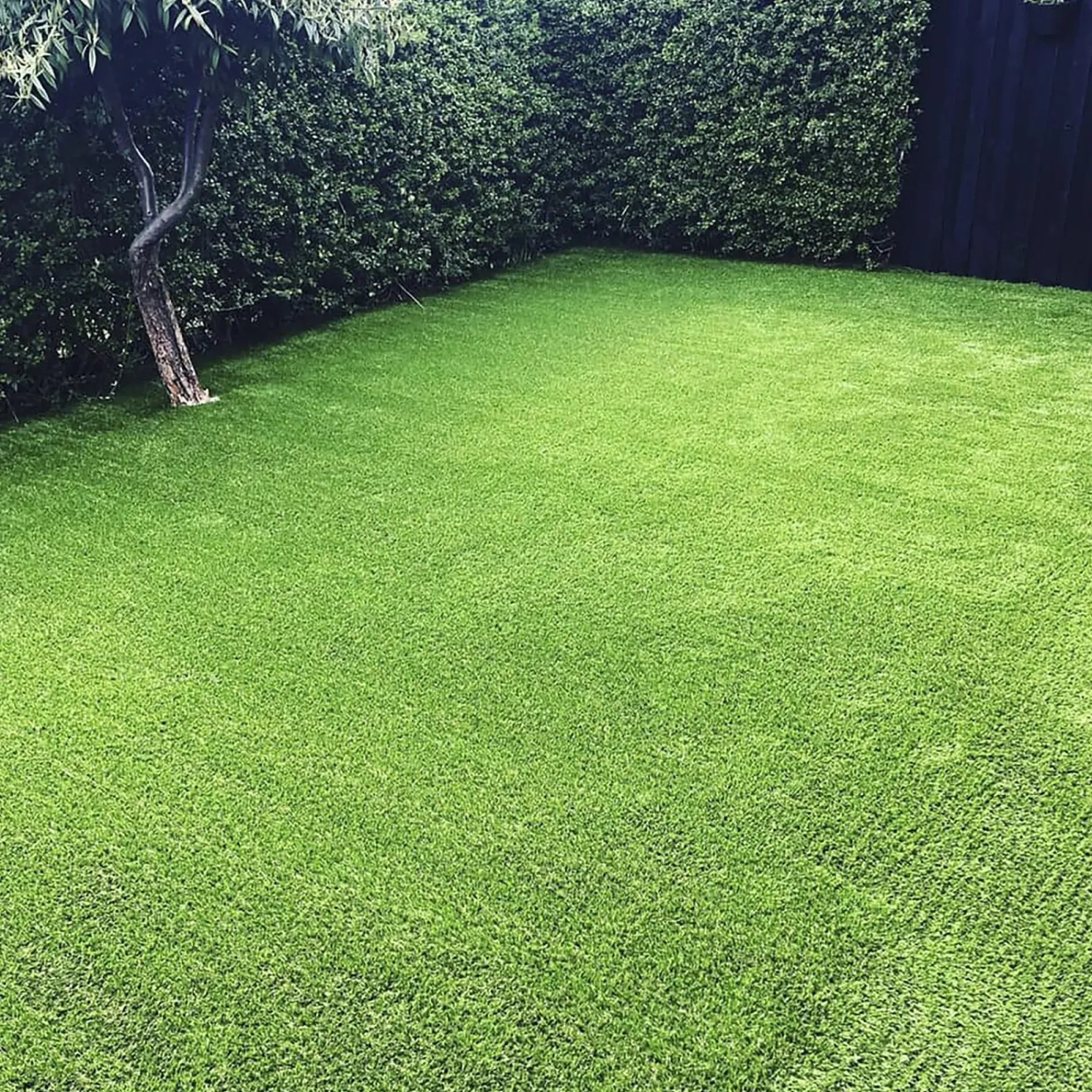 KUNSTGRÆS 37 MM|Citylawn
