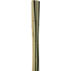 BAMBUSPINDE 60 CM|HOME it GARDEN Hot