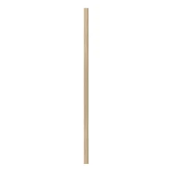 AFSLUTNINGSLISTE EG, HVID OLIE 17 X 67 X 2400 MM|I-Wood Discount