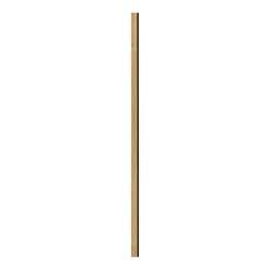 AFSLUTNINGSLISTE EG KLAR OLIE 16 X 67 X 2400 MM|I-Wood Best