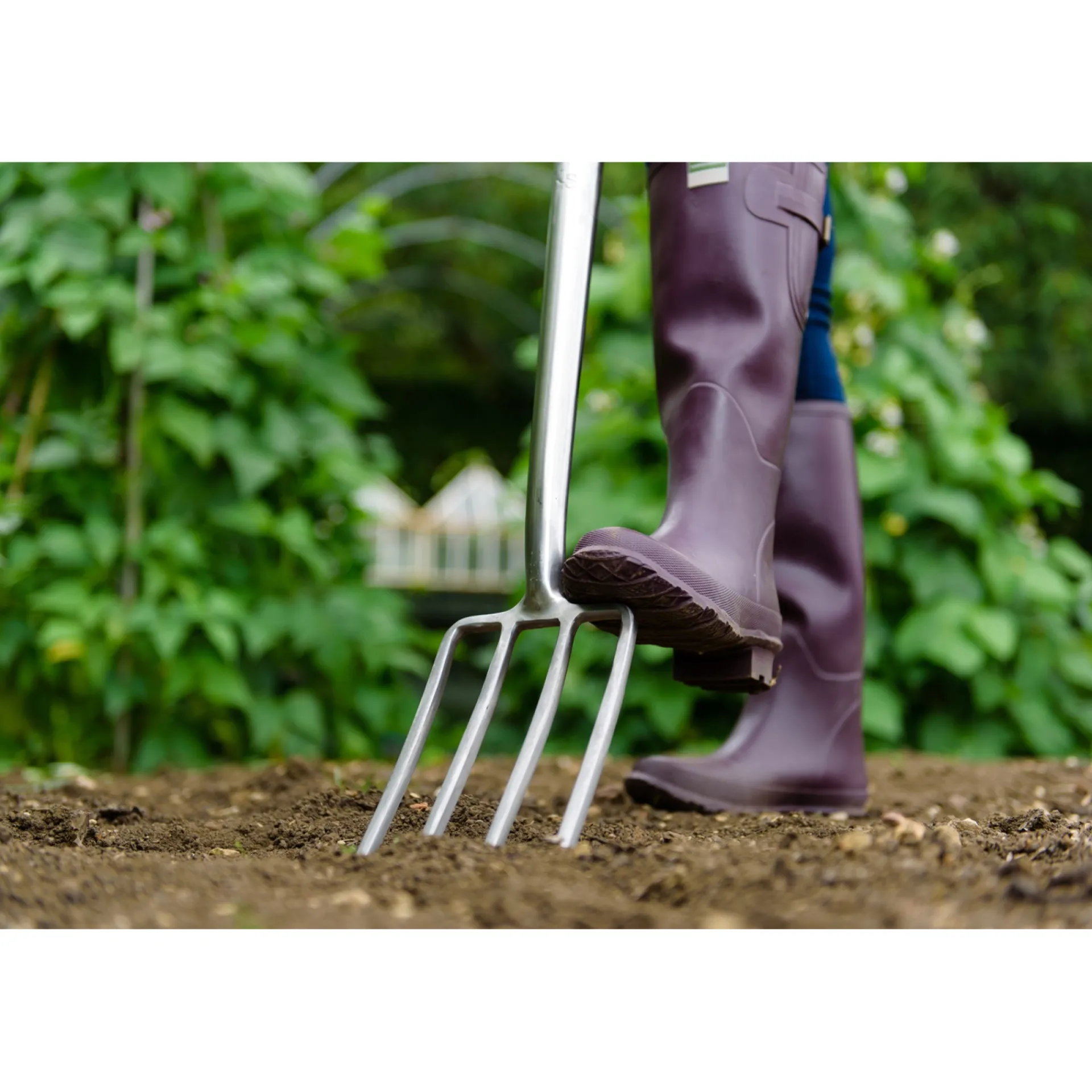 GRAVEGREB|Kent & Stowe Sale