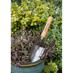 PLANTESKE|Kent & Stowe