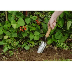 PLANTESKOVL|Kent & Stowe Sale