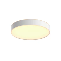 WA ENRAVE L PLAFOND 34W HVID 476 MM|Philips Hue Hot