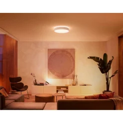WA ENRAVE L PLAFOND 34W HVID 476 MM|Philips Hue Hot