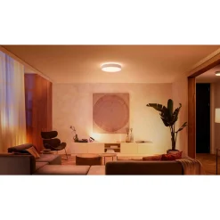 WA ENRAVE L PLAFOND 34W HVID 476 MM|Philips Hue Hot