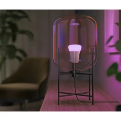 WCA 2-PAK SMART LED PÆRE E27 STANDARD 9W|Philips Hue Discount