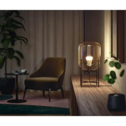 WCA 2-PAK SMART LED PÆRE E27 STANDARD 9W|Philips Hue Discount