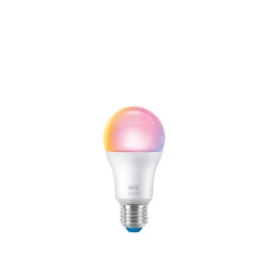 COLOR LED PÆRE E27 STANDARD 9W|Philips Smart New