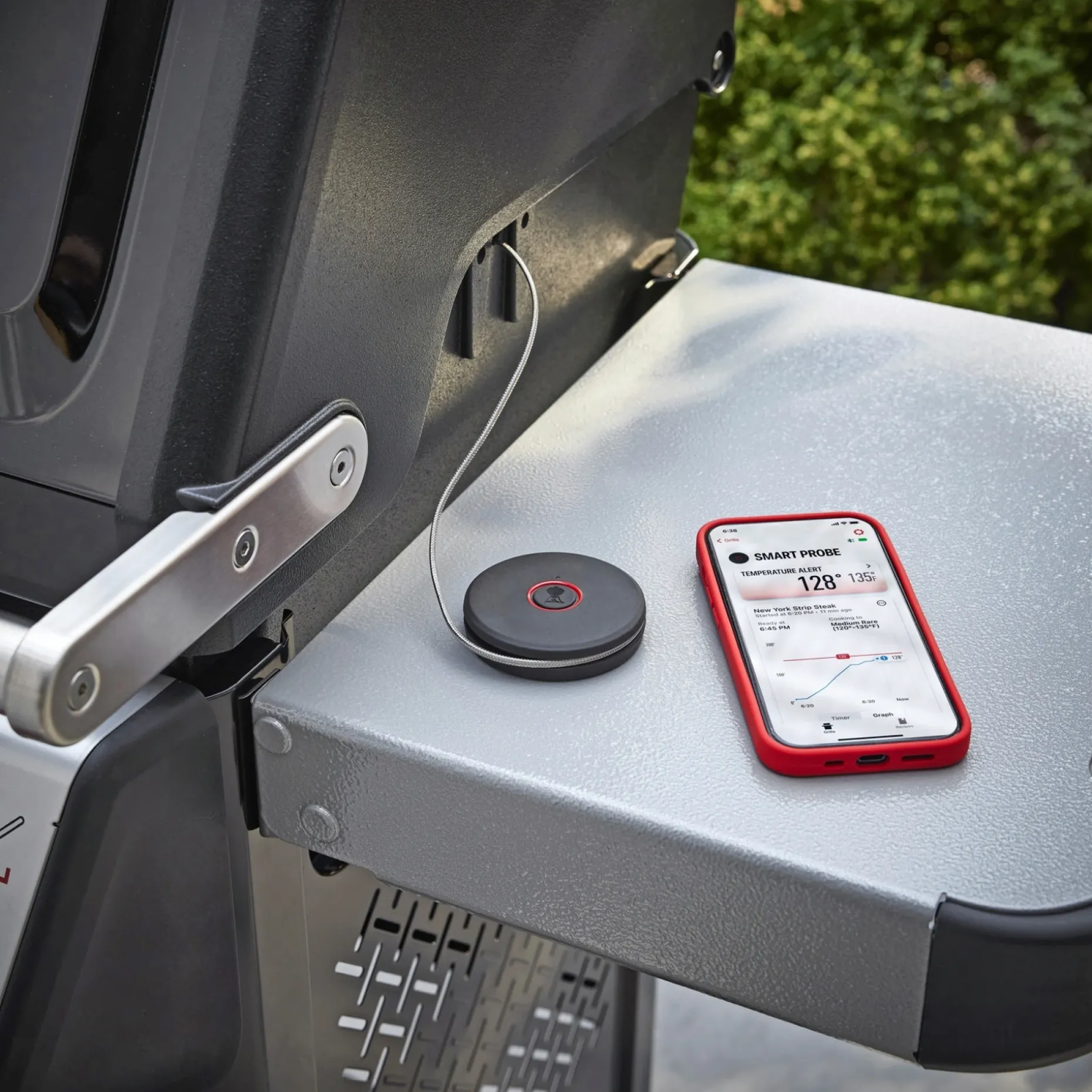 WEBER SMART PROBE STEGETERMOMETER